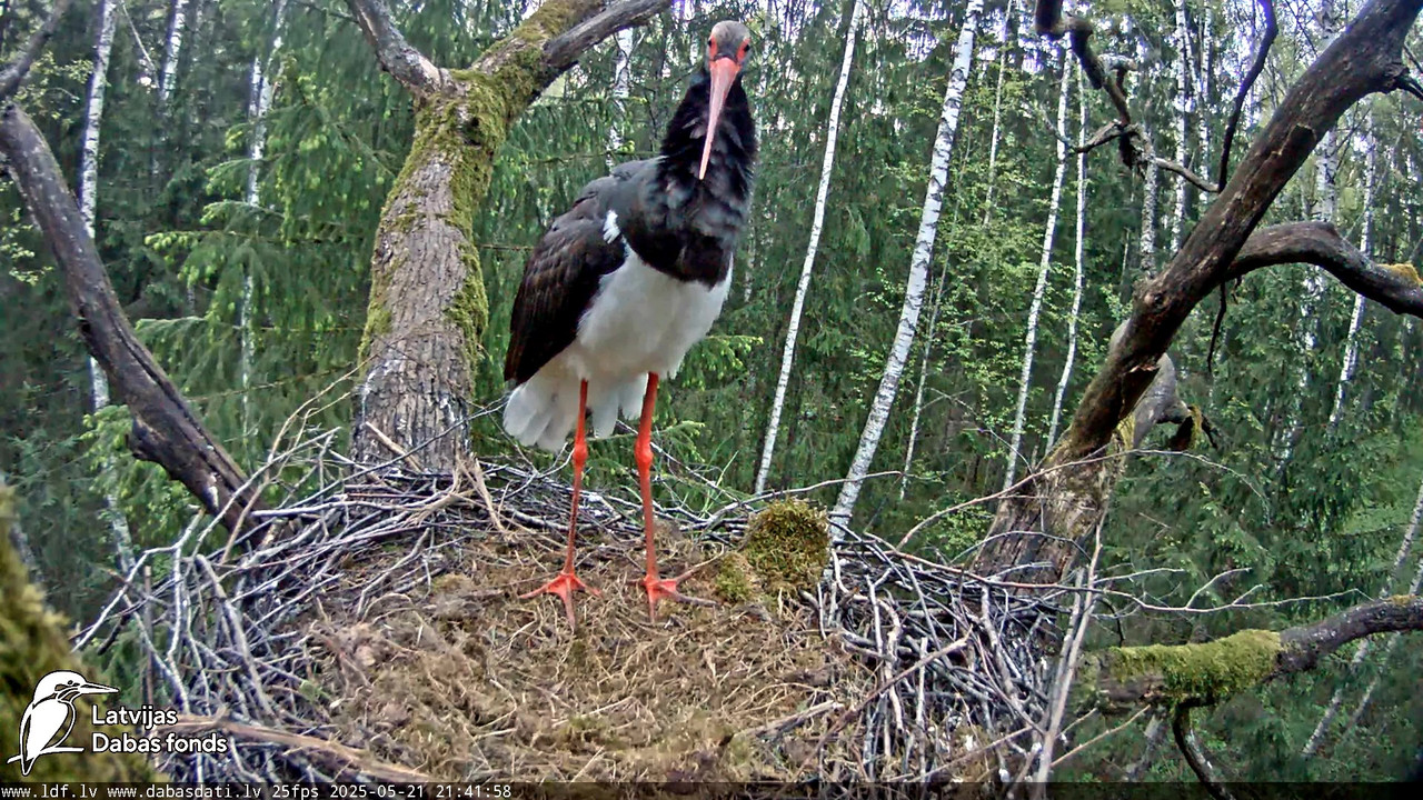 vlcsnap-2025-05-22-08h14m59s623