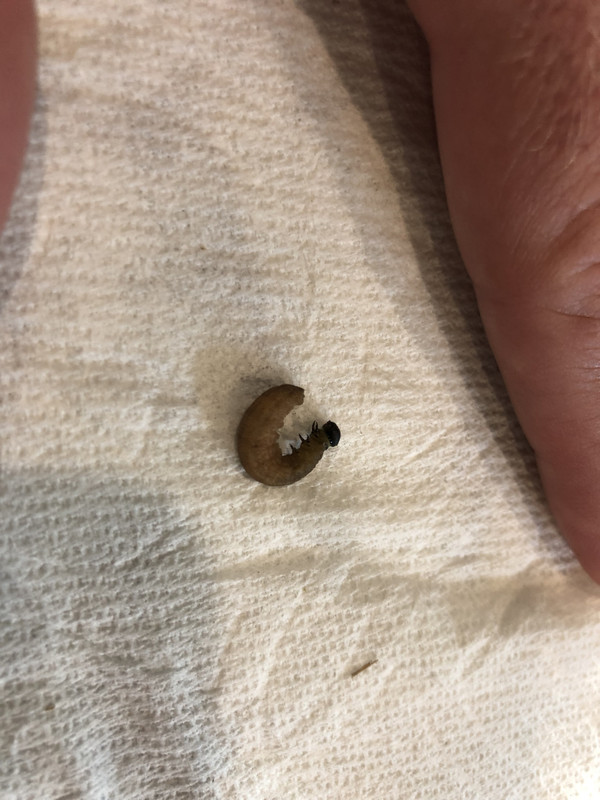 9892D3BD-4872-472C-98DB-BB4CA6F52FF9