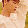 dino from seventeen