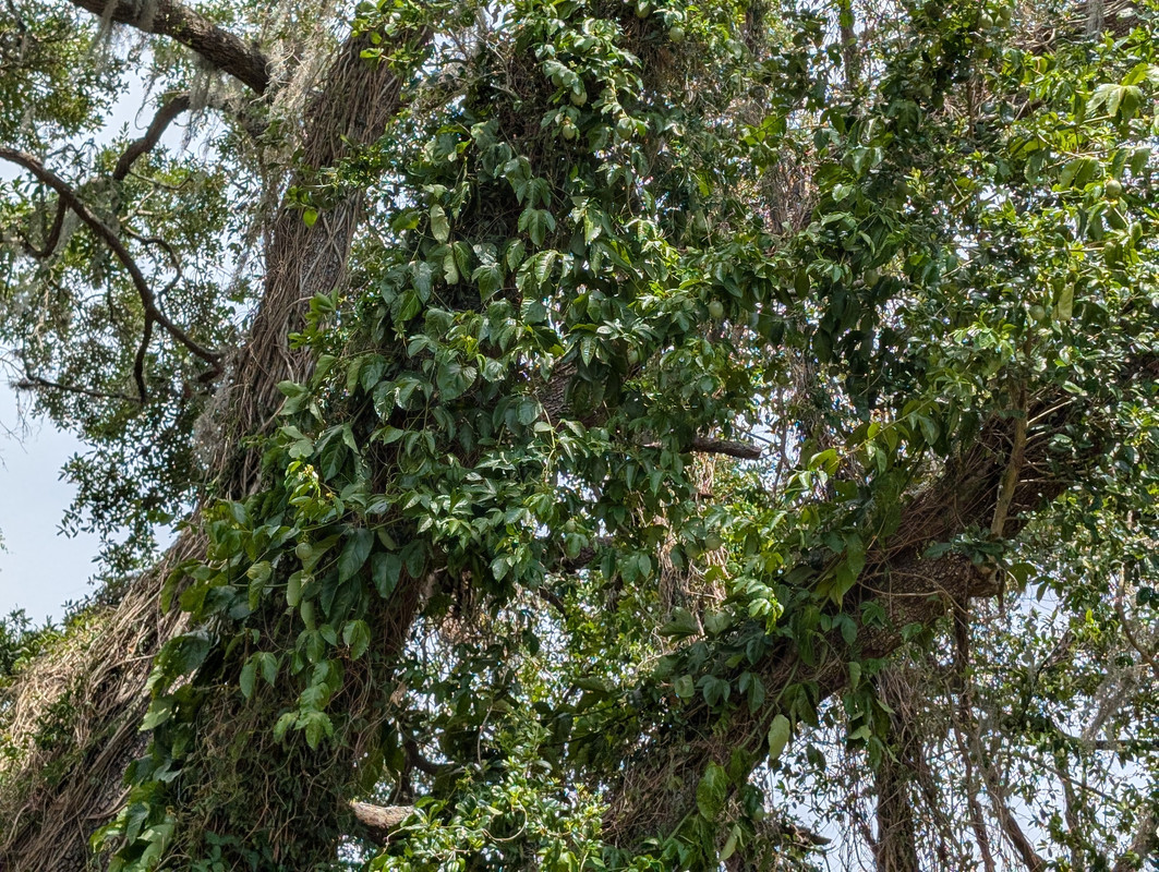 PXL_20250503_190959174