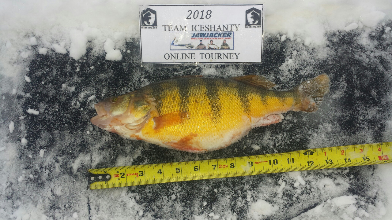 perch
