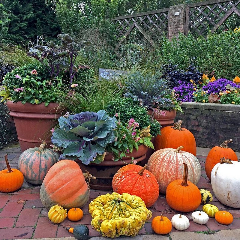 43209918-10156675363620699-1765337734542524416-n