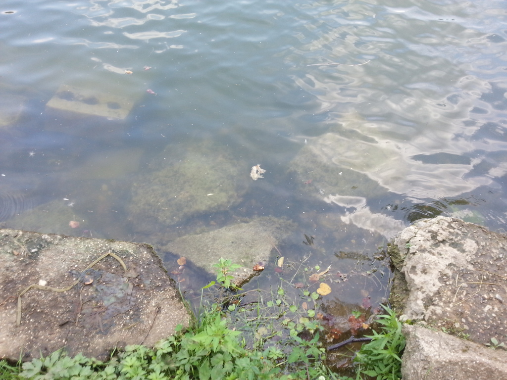 41 вход в воду у спуска