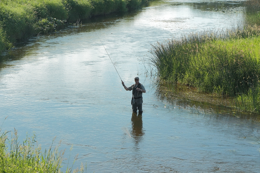 IMG_5717 (Копировать)