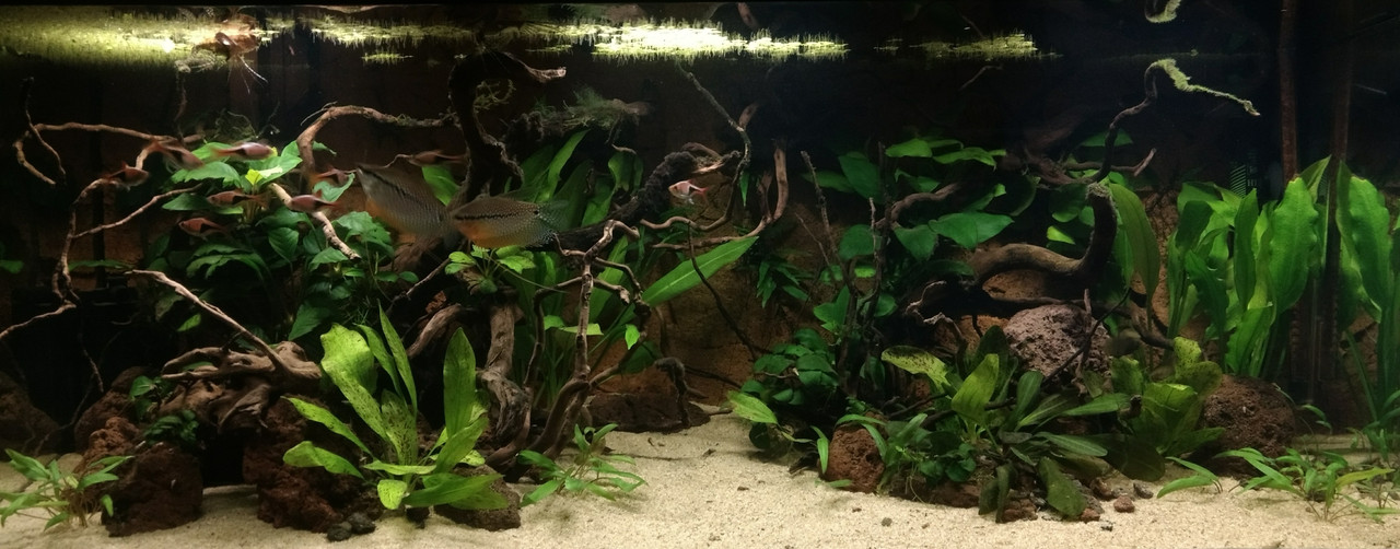 IMG_20180212_191326301