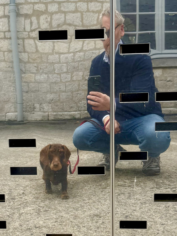 [Image: IMG-3256.jpg]