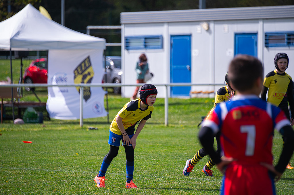 tournoi-de-latlantique-2026-adonis-griffon-55-55181694150-l