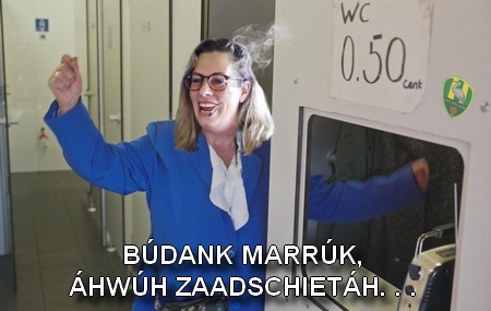 https://i.postimg.cc/G2dqVXWs/haags.jpg