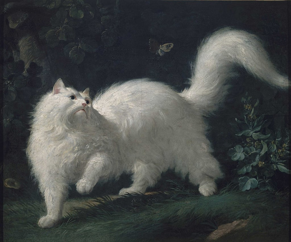 Jean-Jacques-Bachelier-Angora-cat-chasing-a-butterfly-ca-1760-Meister-Drucke-722511