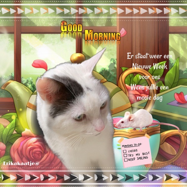 5E62E7A3-9ECA-4822-A79D-657457F4959D