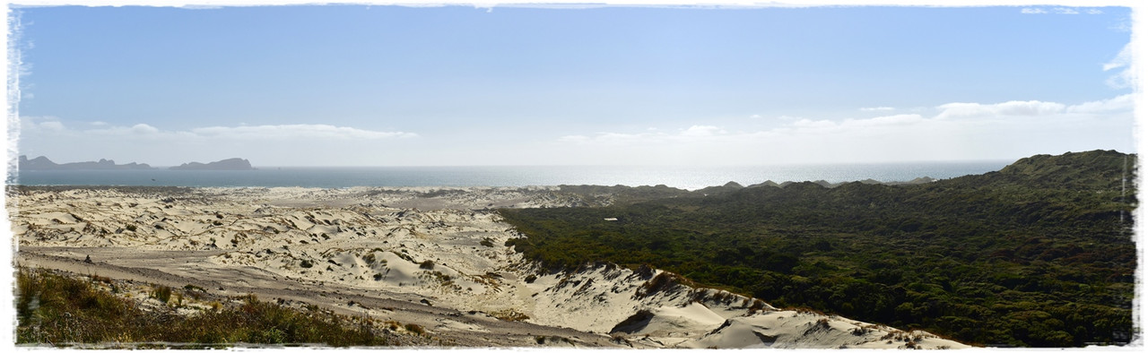 Escapadas y rutas por la Nueva Zelanda menos conocida - Blogs de Nueva Zelanda - Stewart Island:  kiwis, Coast to Coast y unos días en Oban (febrero 2021) (10)