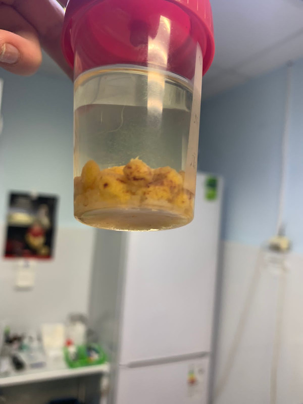 B3E91BEB-2AFE-423E-A95D-B0DF9B1C0597