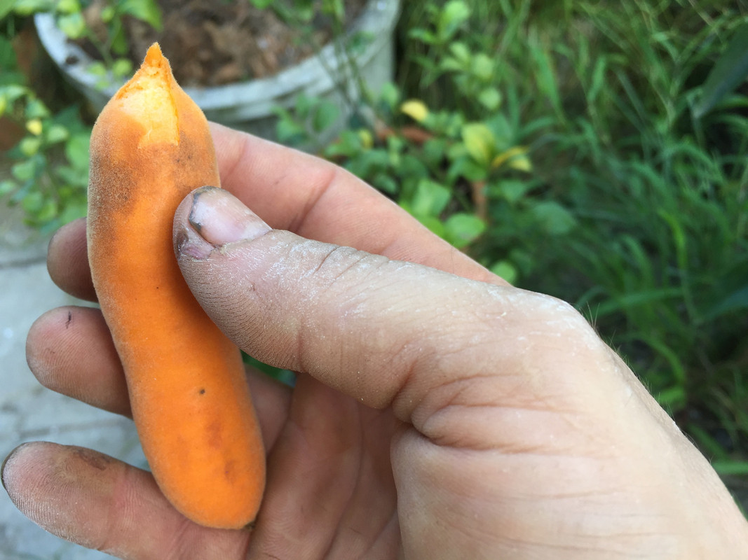 E8604E36-C410-46F9-A86E-71A4FD5A5E82