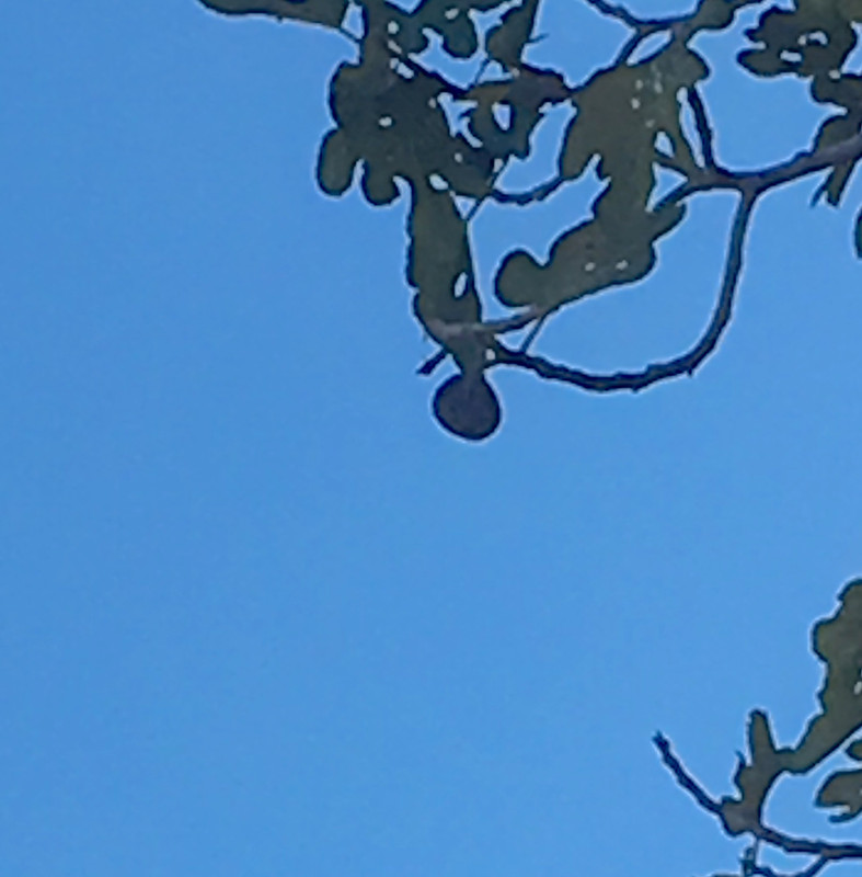 D1514BD0-B076-427E-A38E-E18CFFF58B71