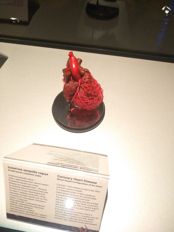 73160891_1187348278120770_671635775883837440_n