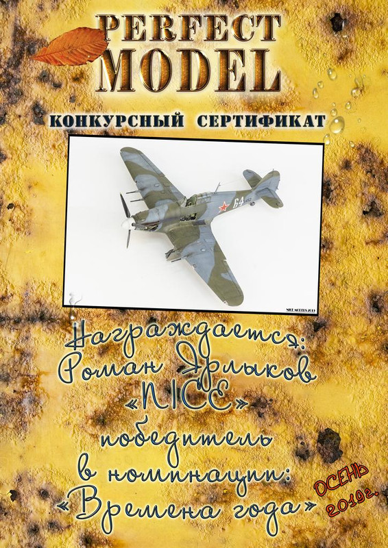 Осенний диплом авиа