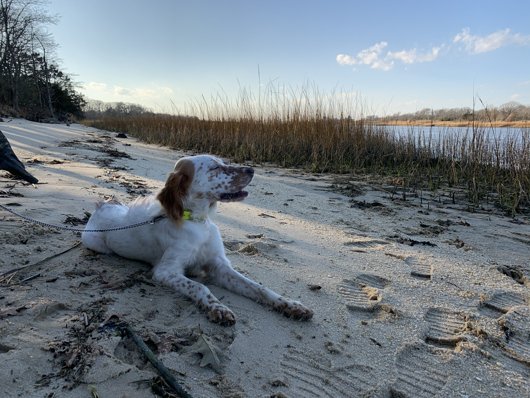 7768FBEE-74BB-4196-8FE0-AFEBE037A911