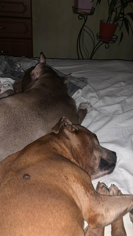 777E6076-7AE8-4E52-9D4E-A0BFBD6DF8B1