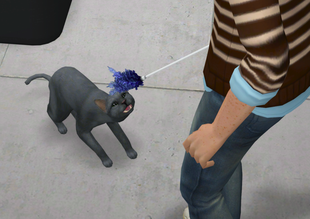 Sims2-EP9-RPC-2022-02-21-16-29-53-75