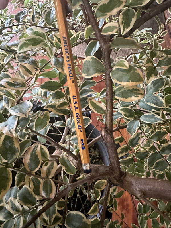 60DF2A1F-456E-4E2B-8461-416EB7D67296