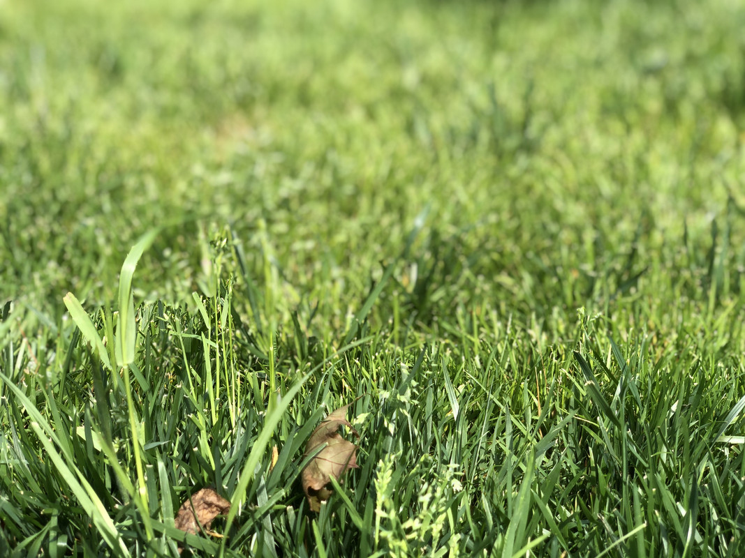 799DEEB9-D489-4A1A-8B9D-14BE101BF020