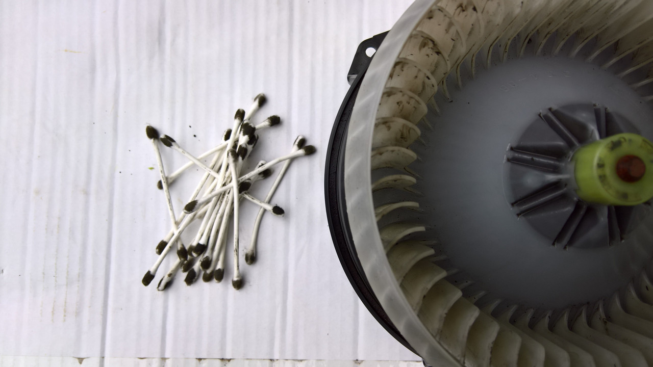 WP_20190526_17_33_57_Rich