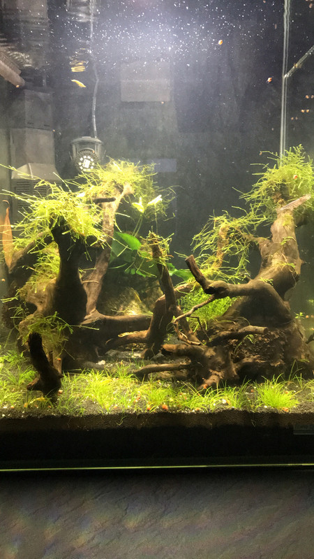 AFF3F0A0-C585-4A29-9E91-88F04ECCEBE6