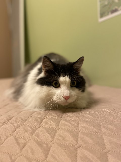 BC774-A98-8705-49-E7-87-B1-246-F0-DC7-BE