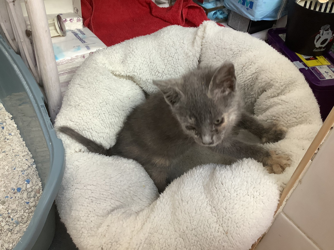 5DD4EF5D-6ACF-497E-A9C8-1EEAEFD936F4