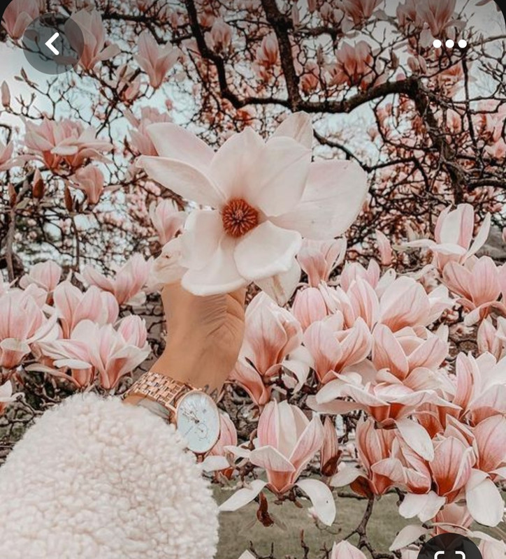 Screenshot_20230519_221831_Pinterest