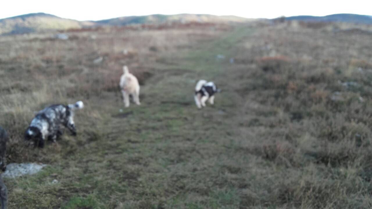 4F179088-ECB4-44CD-8BD7-3598701DFC7D