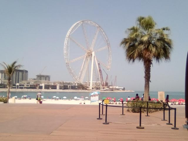 [Image: IMG-111129.jpg]