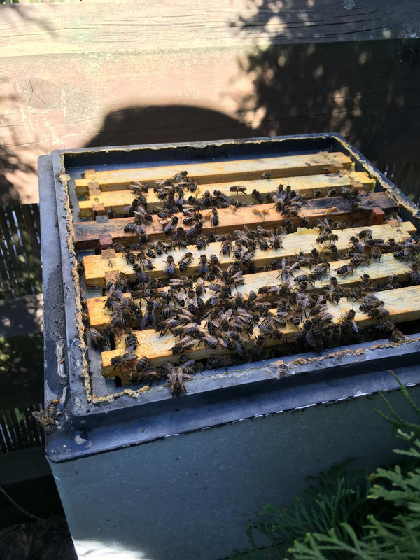 4AAEBC0D-48DC-4CA2-9F18-F9F976F56048