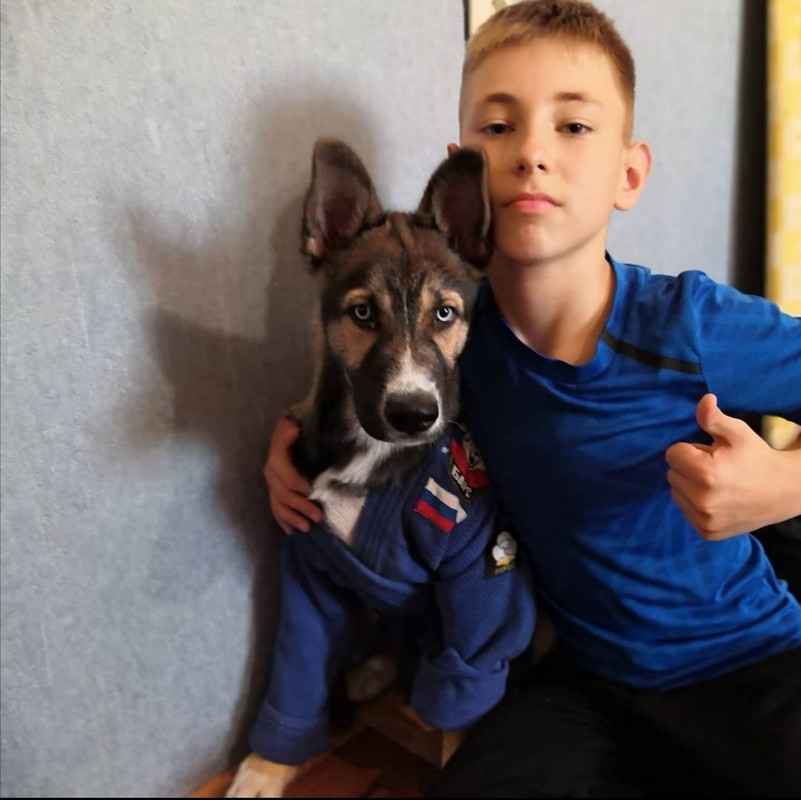 Screenshot_20210221_150504 (1)