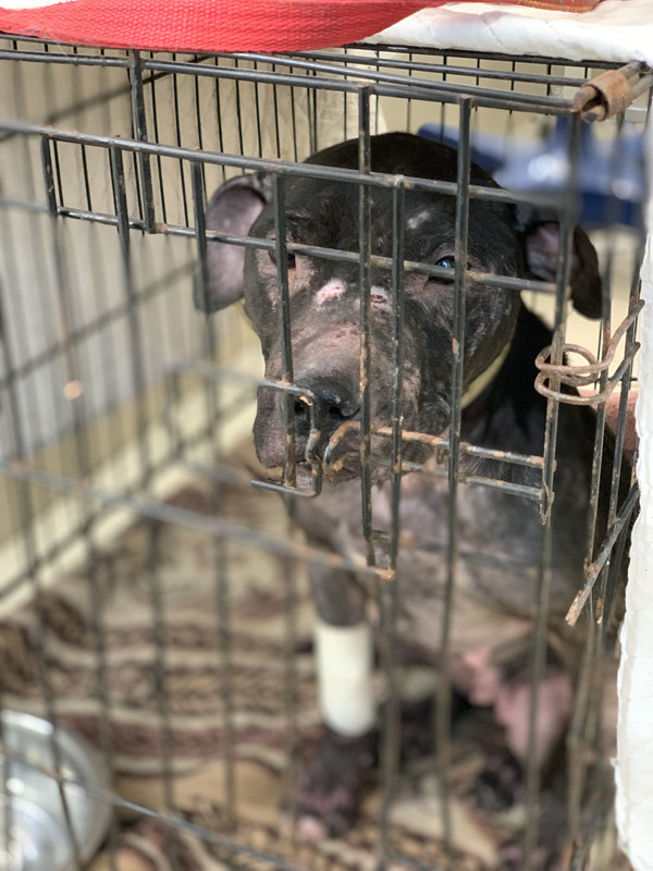 3556B866-E6E2-408A-8C0D-5C2273879397