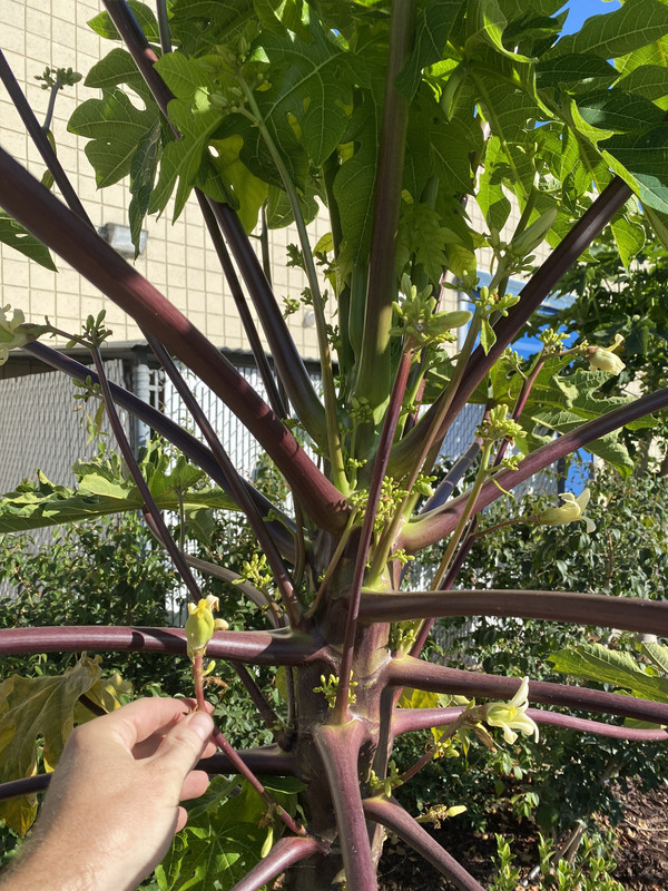 5597062C-C973-4AC9-9263-8396E74B1135