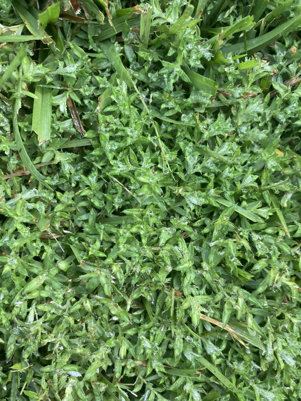 939FA399-1A5F-43C0-9C67-4D1C394E507C