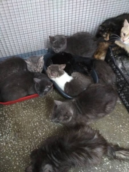 FCA33BE9-1BB3-4F2D-9AF5-376F0817F96F