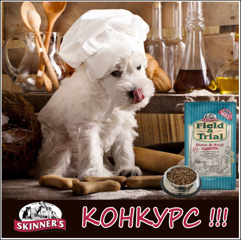 Заглавное фото