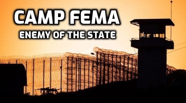 Camp Fema 2 (2010)