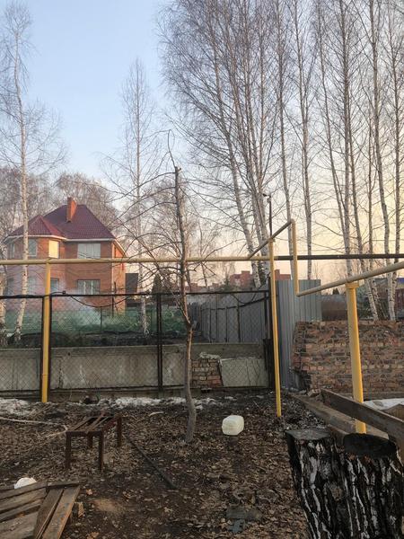 Спил дерева у газопровода в Самаре — после работ