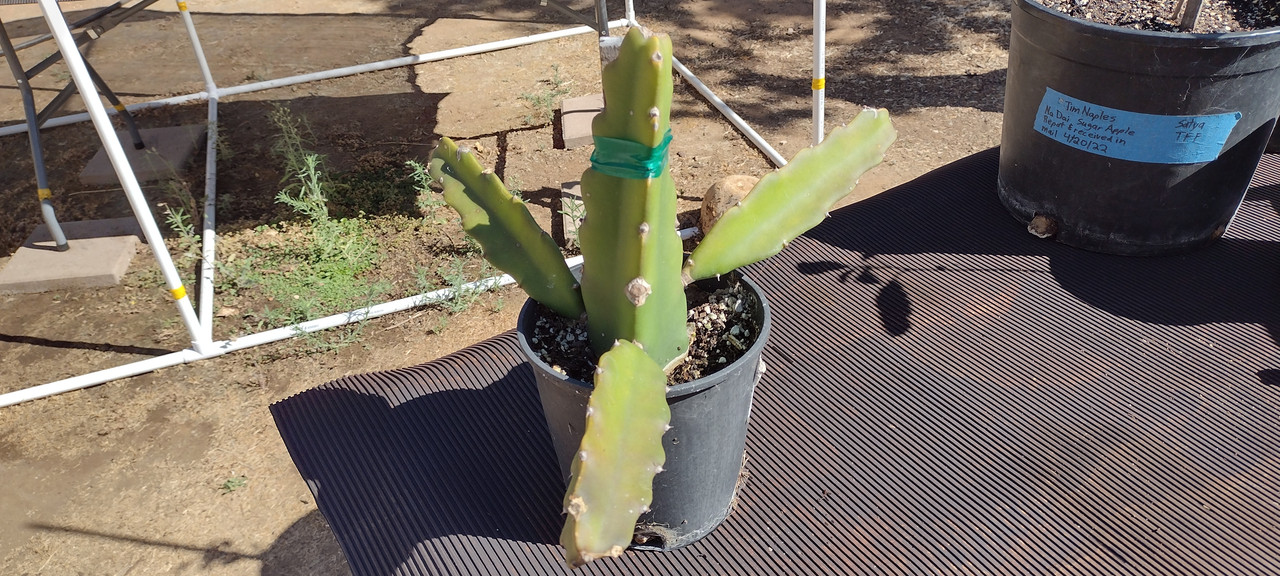 IMG_20220709_162507861_HDR