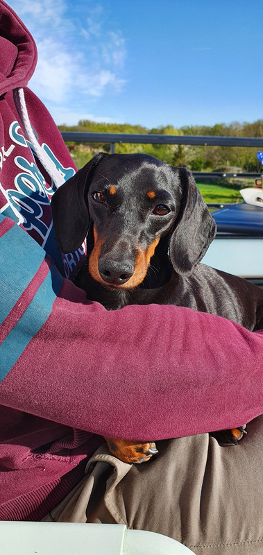 [Image: 20220418-095304.jpg]