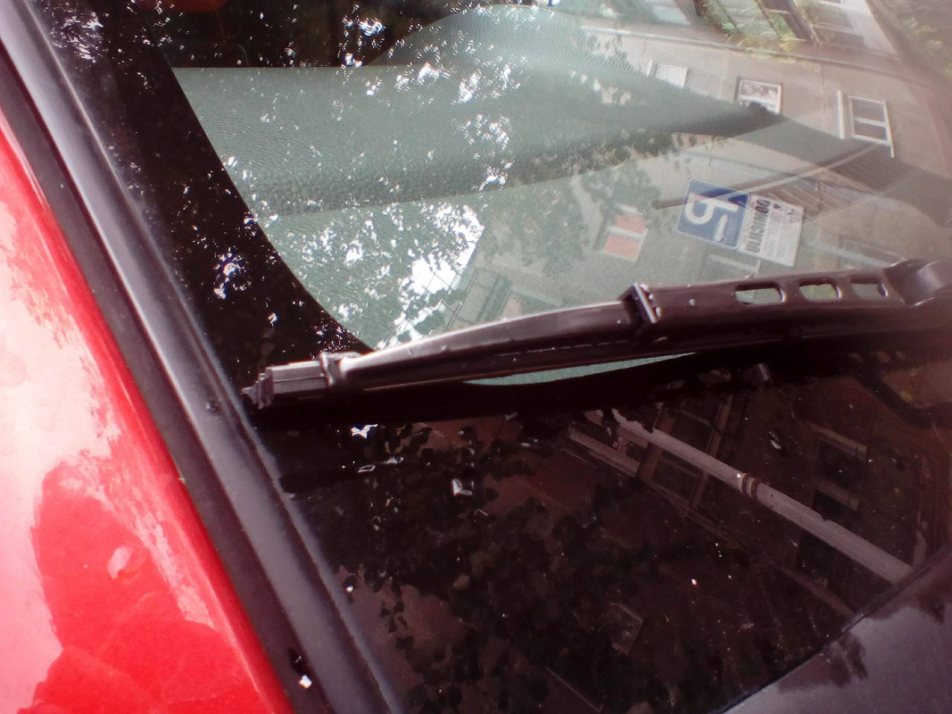 22851285_1249759295129362_810523376_o