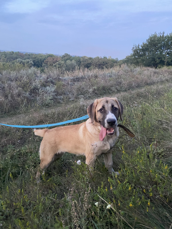 BAA700CD-FC42-47D0-825A-CA167724BDB9