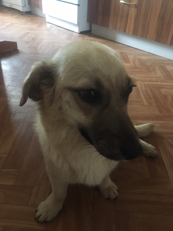 99EDFD4B-8FCD-418C-AF33-05666821984A