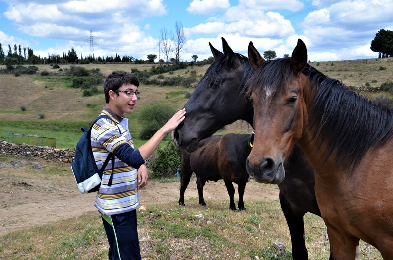 EMBALSE PUENTES VIEJAS, FORTINES Y ANIMALES-24-5-2014-MADRID - Paseando por España-1991/2015-Parte-1 (39)