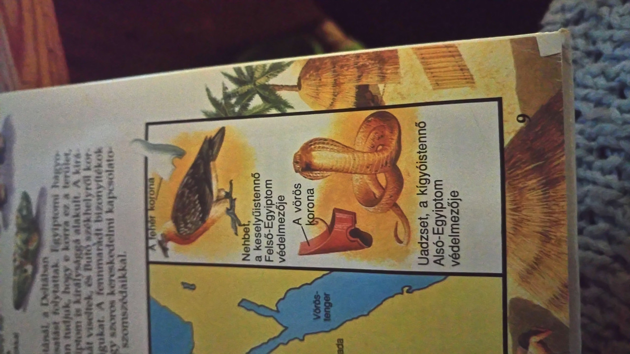Kép