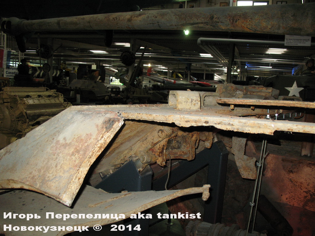 Panther_Sinsheim_109