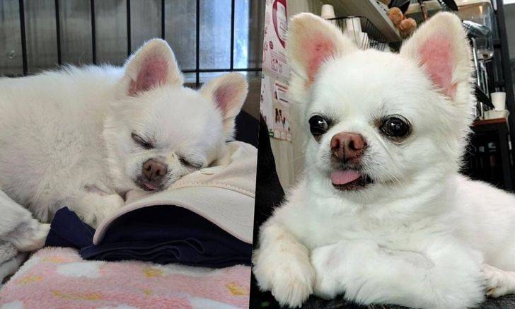 w1200-2024-05-26-T153043-160